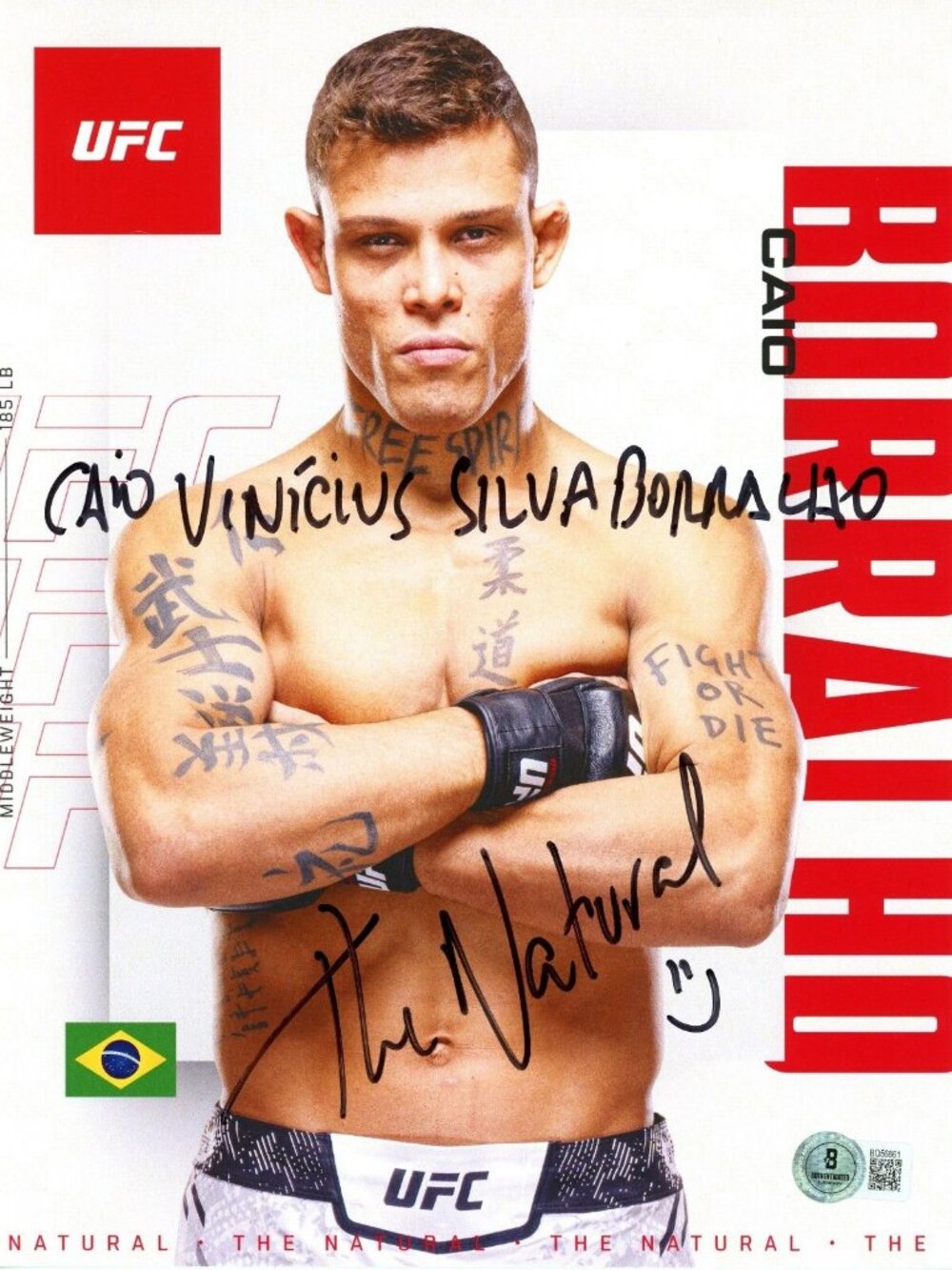 Caio Borralho Signed UFC 8.5x11 Photo Beckett BAS COA Autograph